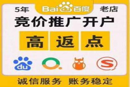 成功托管SEM竞价，实现品牌快速曝光